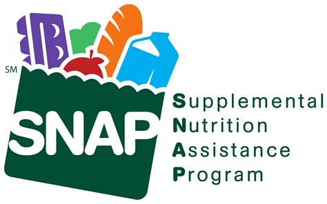 snap benefits houston|Texas SNAP Eligibility Information